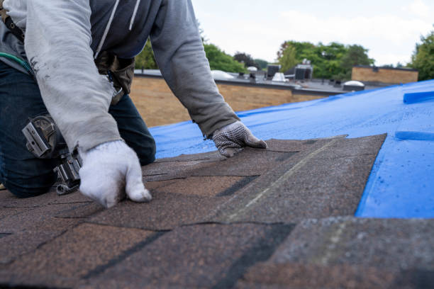 Best Local Roofing Companies  in Crescent City, CA